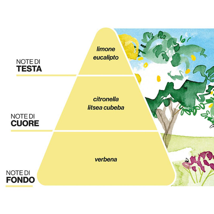 Profumatore All’Agrumeto