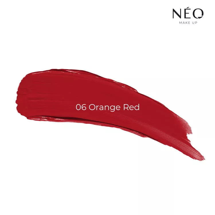 Long Lasting Liquid Lipstick 06 - Rossetto Liquido